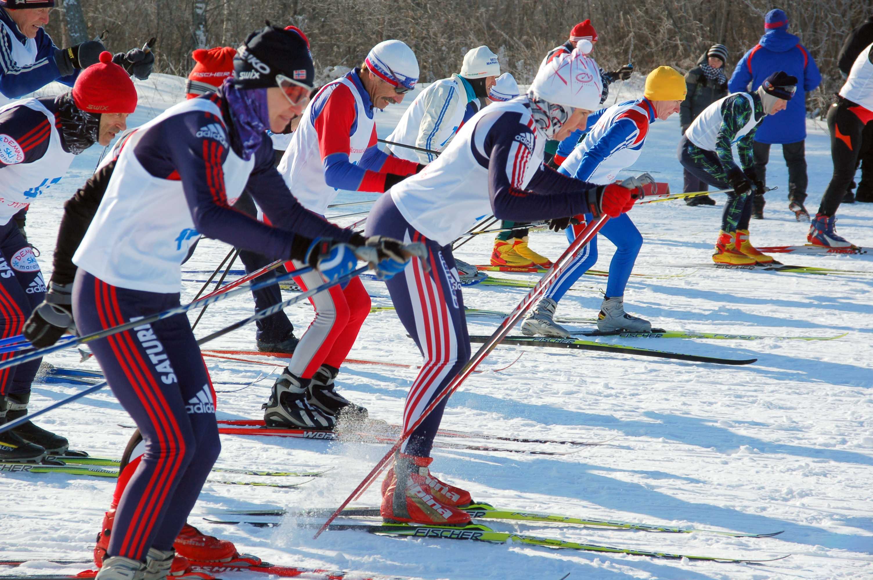 Спорт лыжные гонки